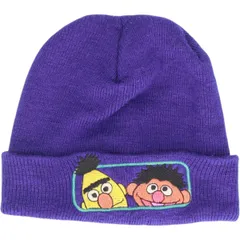 古着 SESAME STREET セサミストリート Bert and Ernie バートとアーニー ニット帽 ビーニー フリーサイズ相当/gaa006737