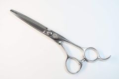 Item thumbnail for item be677291-f295-436c-98ec-58039925b890