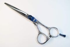 Item thumbnail for item 0aea6874-d574-4182-98da-6982407bd6dc