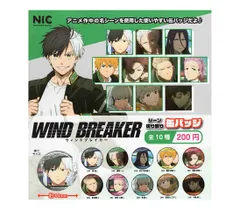 TVアニメ WIND BREAKER シーン切り取り缶バッジ 全10種セット