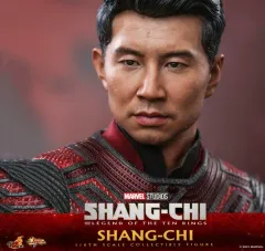 2026年最新】シャンチー ホットトイズの人気アイテム - メルカリ