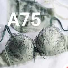 新品  特盛ブラ  チュチュアンナ A75   定価 2530円  54