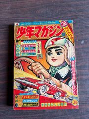 図解 皇乃子 真圧心療道 家庭でできる症状別治療法 (1988年) 中川信義