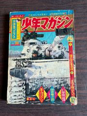 図解 皇乃子 真圧心療道 家庭でできる症状別治療法 (1988年) 中川信義