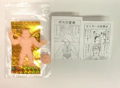 2026年最新】タイガーザグレートの人気アイテム - メルカリ