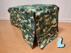 Item thumbnail for item 015712f7-58a1-473b-b76d-33f31f64eee0