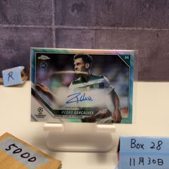 Item thumbnail for item 6d2642ca-eef8-4793-8525-64665cd6a858