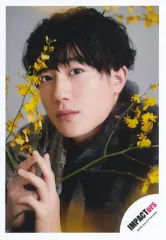 【中古】生写真(ジャニーズ) IMPACTors /椿泰我/バストアップ・トレカサイズ/「ミニフォト」/Greeting mini Photo Collection 2022/公式生写真
