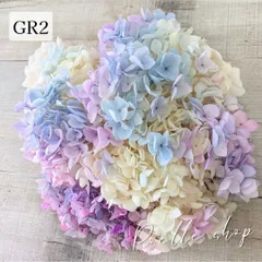 アナベルアジサイ プリザーブドフラワー (アジサイ あじさい 紫陽花) ハンドメイド アレンジ 制作 資材 材料 スワッグ リース ブーケ ハーバリウム レジン オーロラペタルズ (GR2) 20g