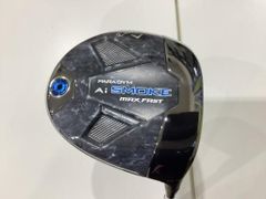 Item thumbnail for item 219923a2-a119-49f0-9af5-1d18d368a732