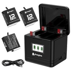 Item thumbnail for item 1cc78d60-3ed0-481a-9af1-66913d095a1f