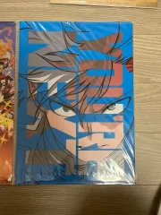 日本購入 僕のヒーローアカデミア 轟 焦凍 劇場版 クリアファイル