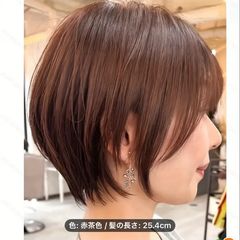 Item thumbnail for item 134dd523-6fd9-4677-a98e-df7ada82684d