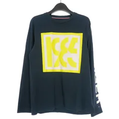 トミーヒルフィガー TOMMY HILFIGER ロゴプリント ロングスリーブTシャツ カットソー 長袖 M ネイビー 紺 国内正規