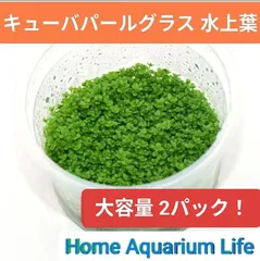 2026年最新】水草 販売の人気アイテム - メルカリ