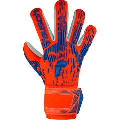 Item thumbnail for item 28969edd-d32c-4498-acee-c61ebefbe91c