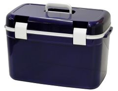 Item thumbnail for item 93a17bbb-ece0-422a-b4ec-2cdfdec93b9d