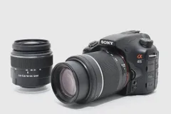 2026年最新】α65 レンズの人気アイテム - メルカリ