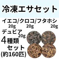 2026年最新】冷凍コオロギの人気アイテム - メルカリ