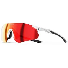 Item thumbnail for item c6042138-5cde-4fe1-a427-f3b019497376