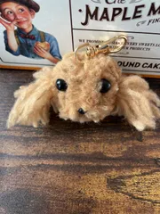 わんちゃんお顔(トイプードル、チワプー)　ハンドメイド　キーホルダー、ブローチ