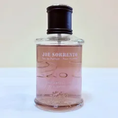 JEANNE ARTHES PARFUMS JOE SORRENTO J.S pour homme eau de parfum ジャンヌアルテス　ジェイエス　オードパルファム　香水　100mlのサムネイル