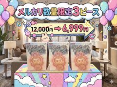 ⭐️メルカリ特別セット価格【正規品・新品未開封】POPMART LABUBU