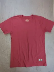 Dickies / Tシャツ & カットソー