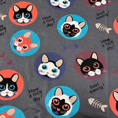 猫ちゃん裏毛ニット生地（B）