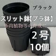 スリット鉢２号★直径6センチ　★10個　★黒★種蒔き・実生などに最適サイズ