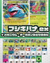 ミュウ ギラティナ カメックス など キラ R まとめ売り 引退品 旧 昔