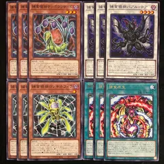 遊戯王　捕食植物　プレデター・プランツ　デッキパーツ　12枚セット　BLZD