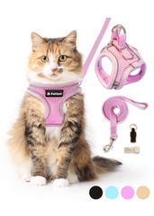 Item thumbnail for item 317ed988-2223-4d50-b04a-3508b7b0d6ed