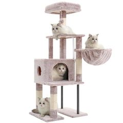 Item thumbnail for item c5291952-1128-4c46-8015-72b33a595570