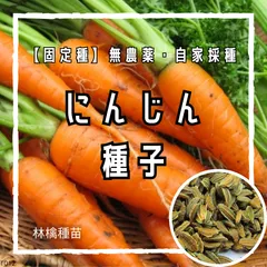 【固定種】にんじんの種 約100粒 ｜ 臭みがなく甘い 濃紅橙色 無農薬栽培 自家採種 人参の種 野菜の種 家庭菜園 プランター栽培 食育 ヘルシー