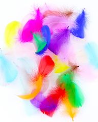 Item thumbnail for item bf32cb9d-7b39-4b57-97d7-c531190fd771