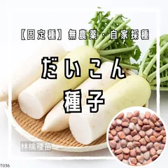 【固定種】大根の種 約60粒 ｜ 煮物からサラダまで万能 育てやすい 無農薬栽培 自家採種 野菜の種 だいこん 家庭菜園 プランター栽培