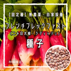 【固定種】フレンチブレックファストの種 約60粒 ｜ 見た目も可愛いラディッシュ 二十日大根 無農薬栽培 自家採種 野菜の種 家庭菜園