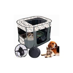 Item thumbnail for item 0d86e87a-7b42-42e9-bc23-4c2821d3a35c