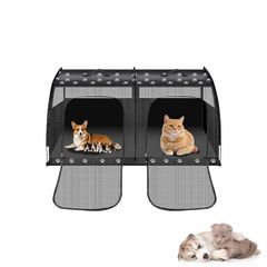 Item thumbnail for item f432e187-cbc6-4cd8-b928-b8ee5d7d264e