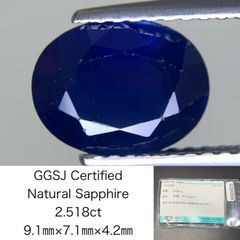 Item thumbnail for item f8f9daa5-e4e0-40e1-9c08-69680ab4a393