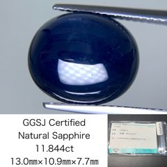 Item thumbnail for item 0c136113-63da-4809-813e-ff2b5f299ec8