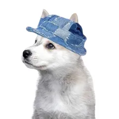 【在庫処分】ペット オールシーズン 春 被り物 夏 紫外線防止 お出かけ ウェア 犬服 小型 犬服 日よけ ドッグ 大型 散歩 ファッション イヌ 洋服 いぬ ぼうし デニム ハット 犬用 (L) 帽子 (Reina4)