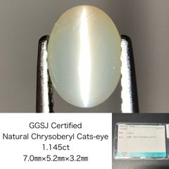 Item thumbnail for item e2737cc8-f08f-4723-a22e-e09ebac9a037