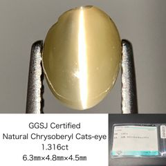 Item thumbnail for item 342d342f-5e98-478a-8e45-15d5f3b13e1d