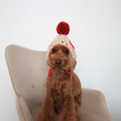 Heart bonnet  / ハート ニット帽 小型犬