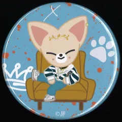 StrayKids THE VICTORY inJAPAN I.N 缶バッジ SKZOO