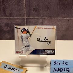 Item thumbnail for item 427e748e-8b37-4988-965b-970d631dfc35