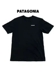 (XL) patagonia パタゴニア バックプリント 半袖 Tシャツ ブラック