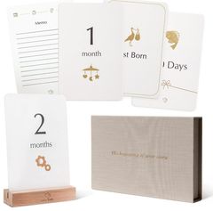 Item thumbnail for item 66267a90-2a88-47ae-84b0-bd0c80064e13